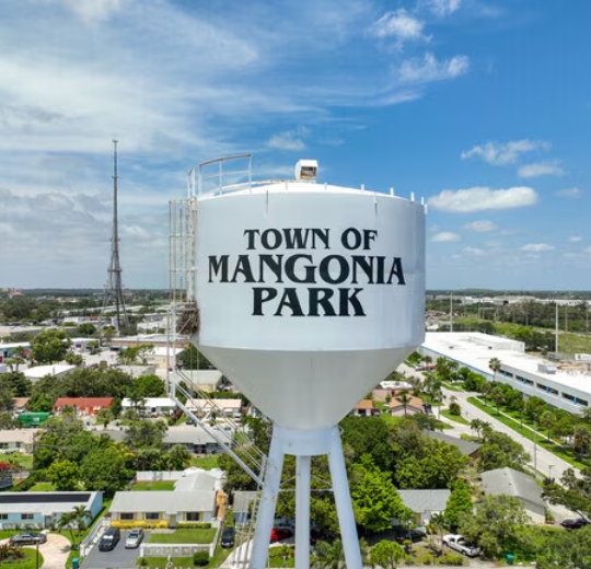 Mangonia