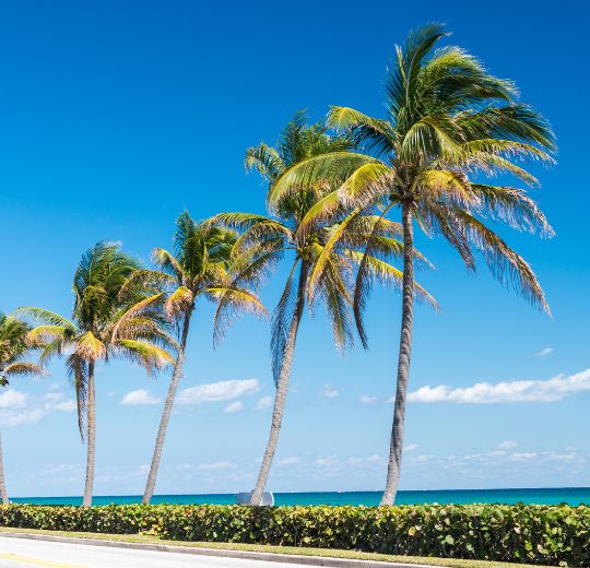 West Palm Beach
